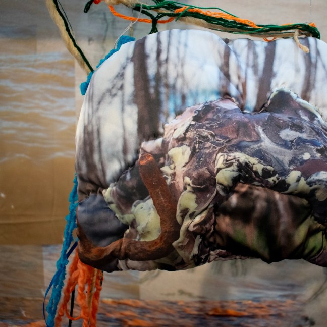 Mariana Rodríguez Iglesias, Solano Esti